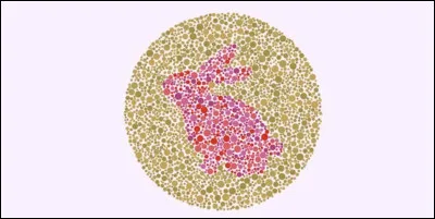 Quel est cet animal ?