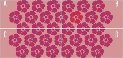 Dans quelle base est l'intrus ?