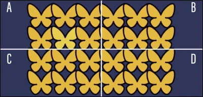 Dans quelle base est l'intrus ?