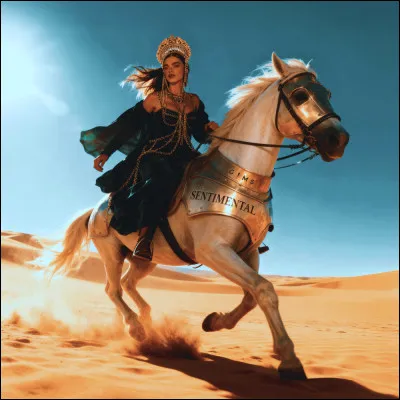 Qui a chanté "SENTIMENTAL" ?