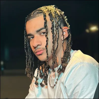 Qui est ce chanteur ?