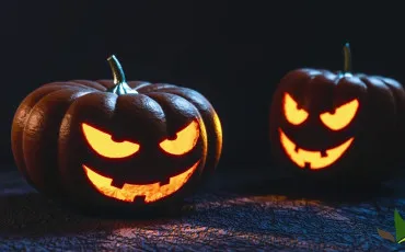 Quiz Test de personnalit