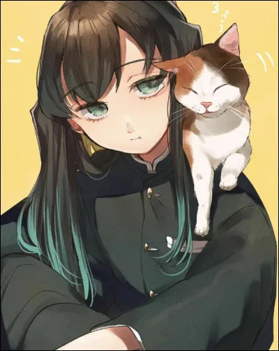 Bienvenue dans ce test ! Aimes-tu ''Demon Slayer'' ?