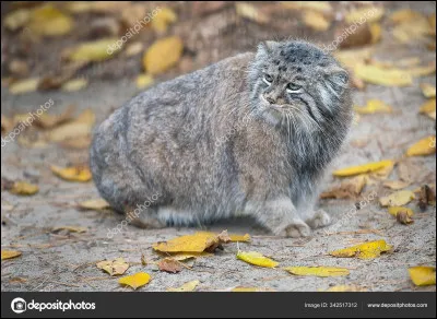 Gr&acirc;ce &agrave; quoi le sait-on ?