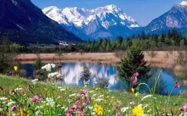 Quiz Test de personnalit