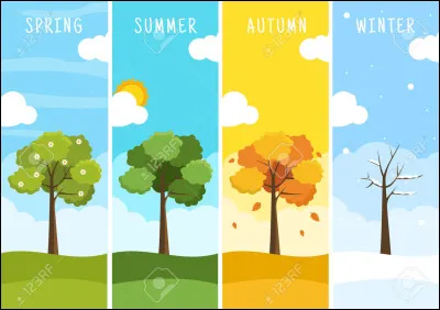 Quelle saison préfères-tu ?