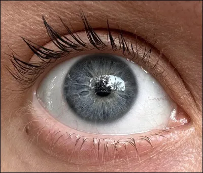 Quels yeux préfères-tu ?