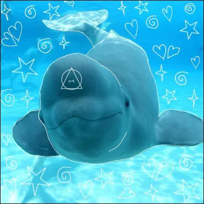 Avez-vous des rêves où vous vous voyez en tant que personne mi-animale, voire même en tant qu'animal ?