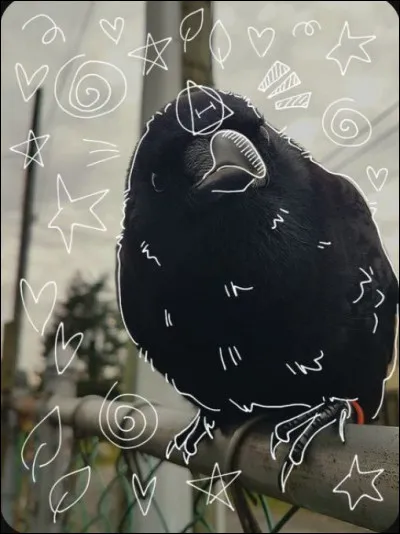 Ressentez-vous une connexion particulière envers un animal ou plusieurs animaux ? Pas parce qu'ils sont vos animaux préférés mais plutôt parce qu'ils sont comme vous.