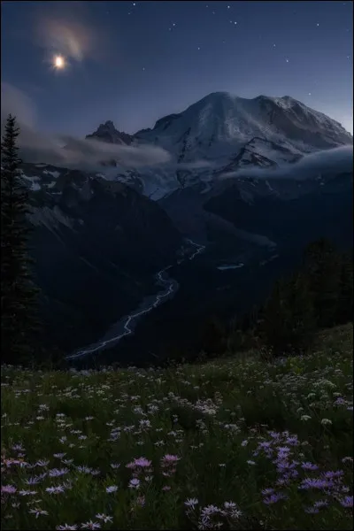 Ressentez-vous un bien-être profond lorsque vous êtes dans la nature (forêt, plaine, montagne, mer, etc.), comme si c'était votre véritable maison ?