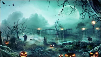 Quelle ambiance te plaît le plus ?