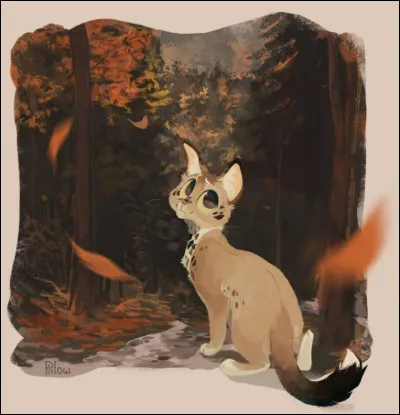 Quelles couleurs sont les embl&egrave;mes d�Halloween ?