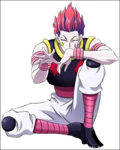 Quel est le nom de famille de Hisoka ?