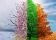 Test Quelle saison es-tu ?