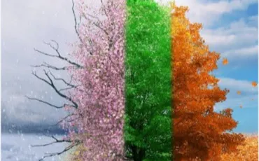 Quiz Test de personnalit