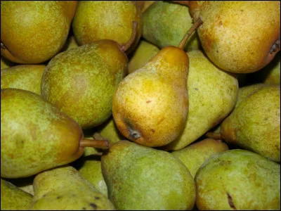 De quel pays provient la premi&egrave;re poire ?