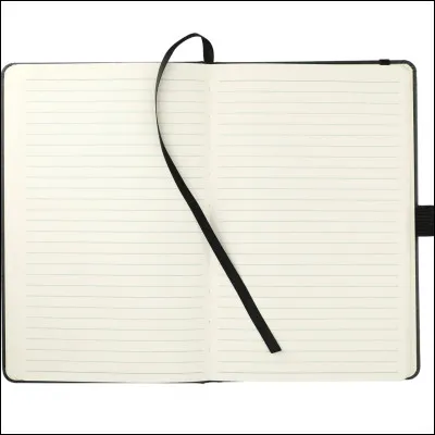 Parles-tu de lui ou d'elle dans ton journal ?