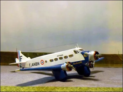 Le plus petit Yorkshire Terrier référencé pesait...