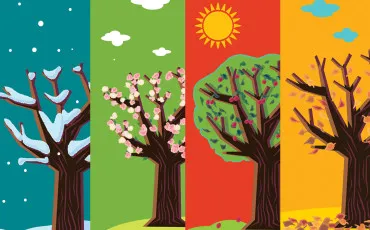 Quiz Test de personnalité