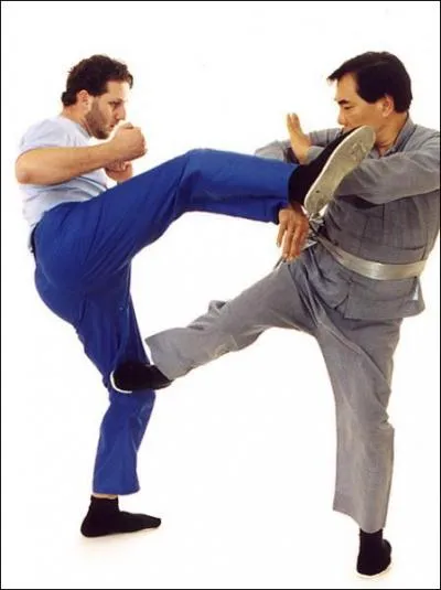 Le Wing Chun est d'avantage un art-martial...
