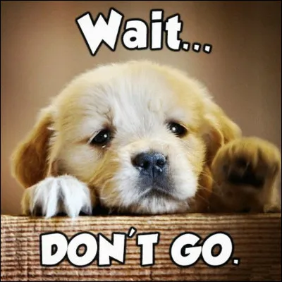 "Don't go" est un titre interprété par...