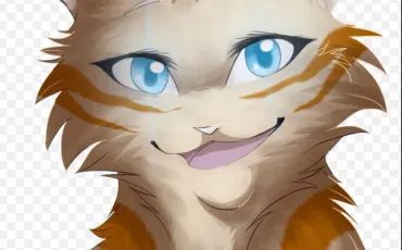 Quiz Test de personnalit