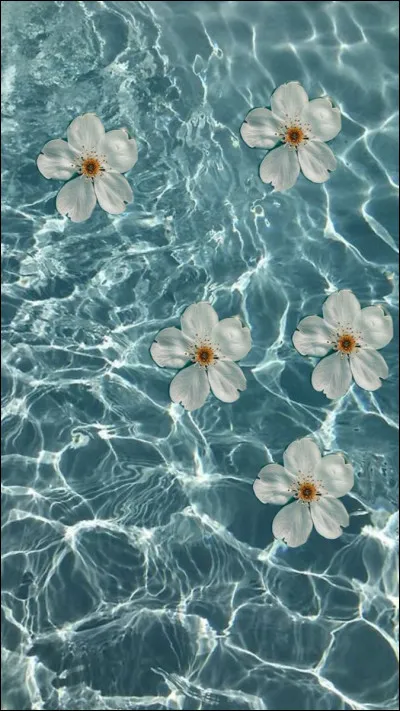 B � Bases du savoirQ : La formule chimique de l�eau est :