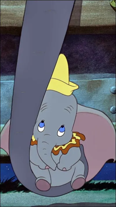 D � DumboTimothy l�&eacute;l&eacute;phant est un membre de la famille de Dumbo.