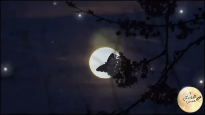 Que représente lécriture pour lhéroïne des "Enchanteurs" ?