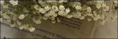 Quel est ton biscuit préféré ?