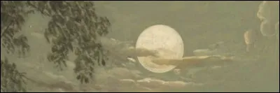 Quel est ton animal préféré ?