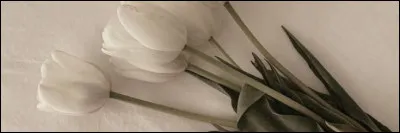 Quelle est l'émotion que tu ressens le plus souvent ?