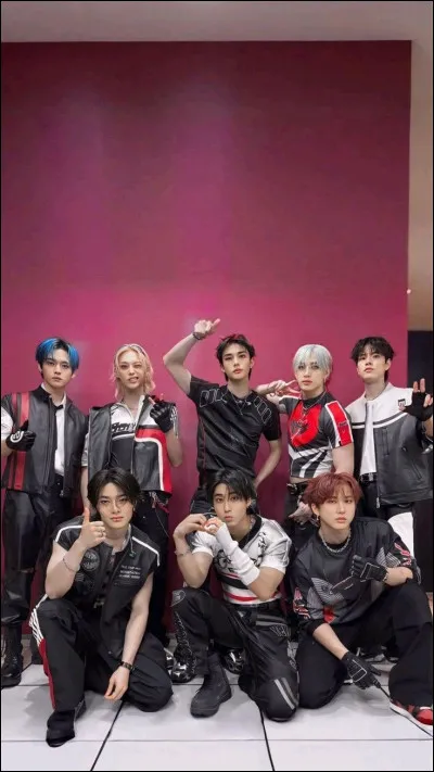 À quel animal Seungmin est-il associé ?