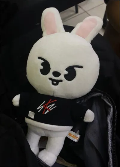 À qui appartient le SKZOO sur la photo ?