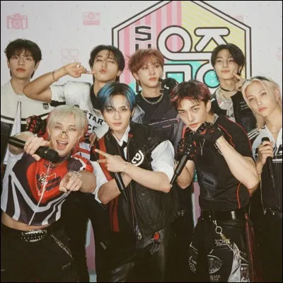 Qui est le membre le plus grand ? (taille)