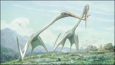 On commence avec un pt&eacute;rosaure des &Eacute;tats-Unis et de Jordanie au tr&egrave;s, tr&egrave;s long cou : il &eacute;tait plus grand qu'un Tyrannosaure rex et pouvait regarder une girafe de haut !Ses dimensions : 15 m&egrave;tres de long pour 8 &agrave; 9 m&egrave;tres d'envergure !Incroyable mais quel est son nom ?