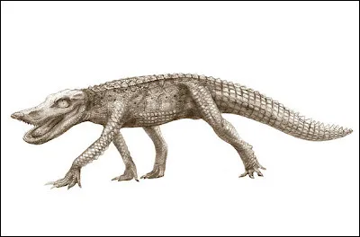 Un des plus petits crocodiliens, le "croco-canard" ou Anatosuchus minor faisait 70 centim&egrave;tres pour moins de 20 kg .Il se servait de son bec pour creuser la terre &agrave; la recherche de larves et de petits mammif&egrave;res.O&ugrave; vivait-il ?
