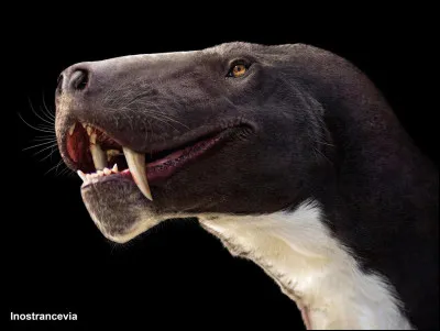 Le "parfait" m&eacute;lange entre un squamate (Famille regroupant les l&eacute;zards et les serpents) et un canid&eacute; qui est en r&eacute;alit&eacute; un th&eacute;rapside (Famille regroupant des animaux que l'on appelle "reptile" mais qui comporte beaucoup de caract&eacute;ristiques appartenant aux mammif&egrave;res).Il faisait 3,5 m pour 300 kg et ayant des crocs de 15 cm, c'&eacute;tait un pr&eacute;dateur agressif et tr&egrave;s dangereux.Son nom est :