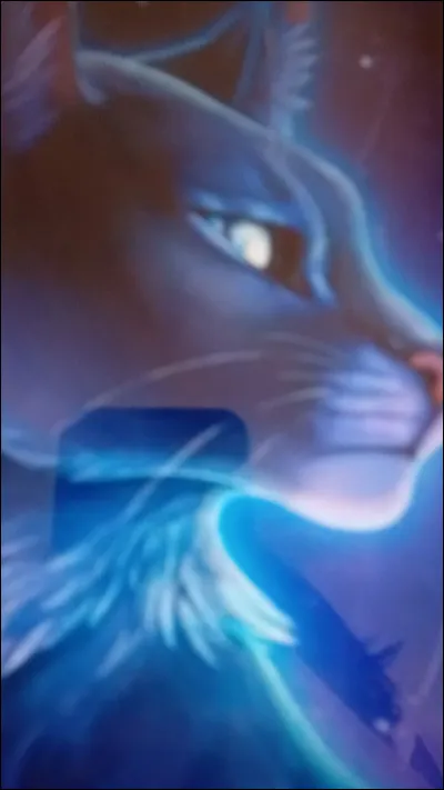 J'étais autrefois la meneuse du Clan du Tonnerre et j'ai même accueilli un chat domestique dans mon clan. Qui suis-je ?