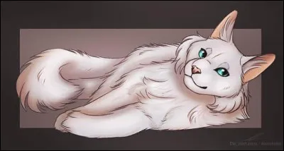 Je suis le neveu du fameux &Eacute;toile de Feu et ma m&egrave;re est une chatte domestique nomm&eacute;e Princesse. Qui suis-je ?