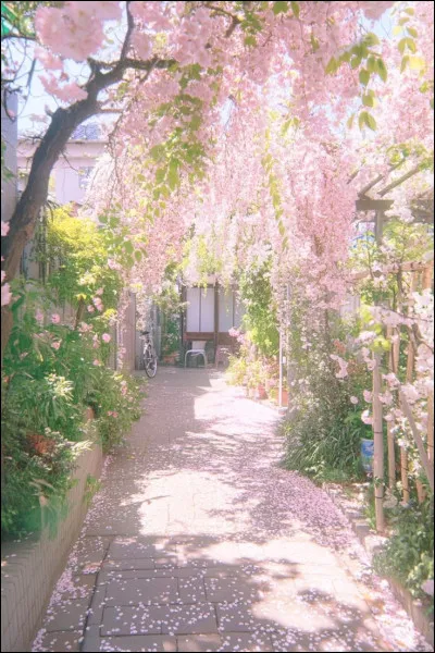 Quel type de lieu t'apaise le plus ?