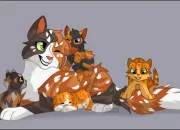 Quiz Liste de mots sur LGDC