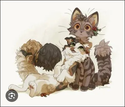 Que signifie Laurent ?