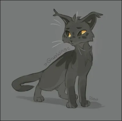 Que signifie Liana ?