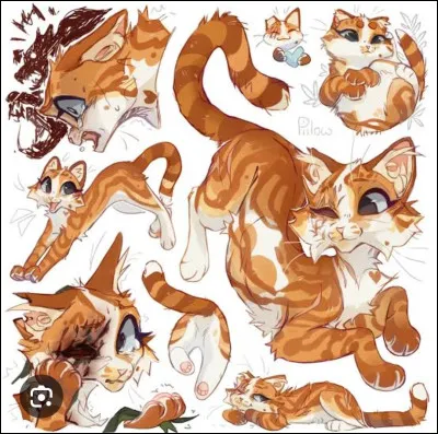 Que signifie Malorie ?