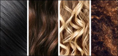 Puis, comment sont-ils ?