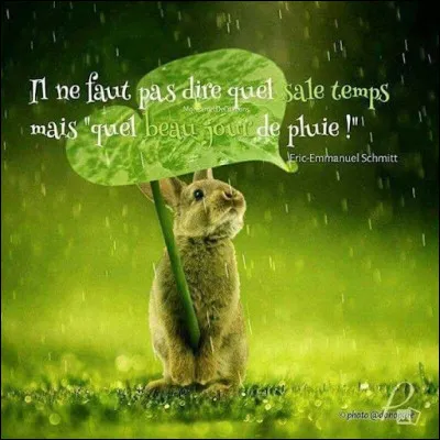 En vacances, tu préfères...