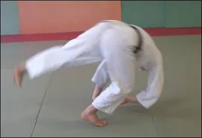 Quels sont les différents noms des chutes ?