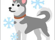 Test Quelle salle de la maison es-tu ?