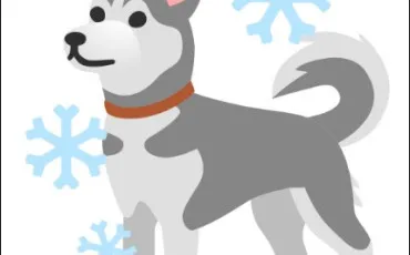 Quiz Test de personnalit